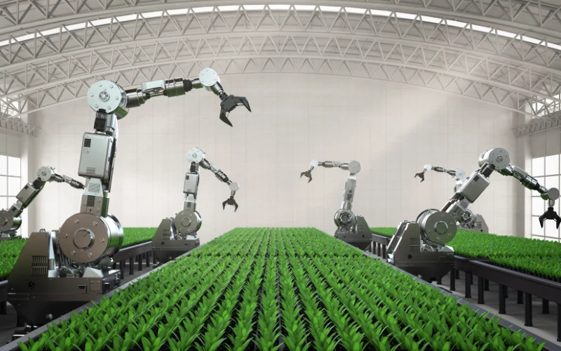 Lợi ích của tự động hóa trong nông nghiệp