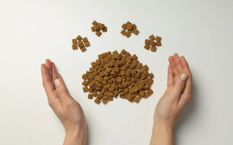 Dây chuyền sản xuất thức ăn cho thú cưng