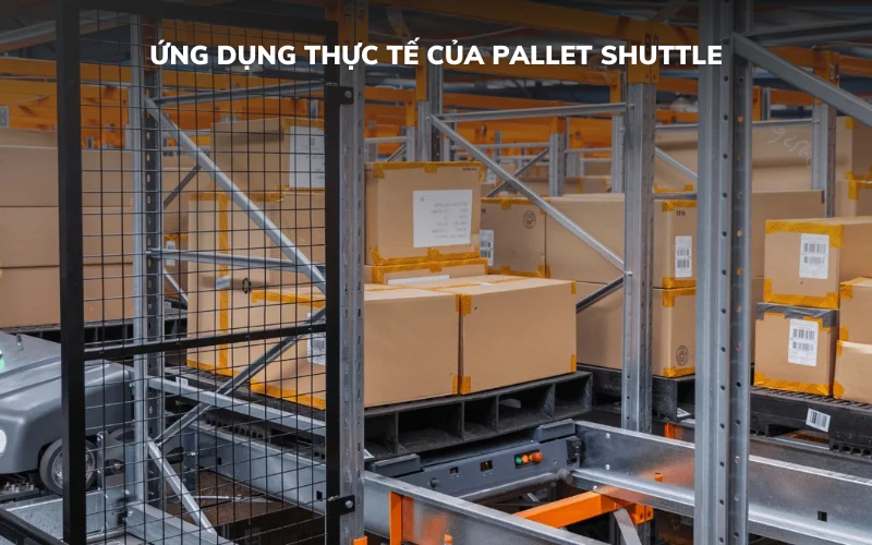 Ứng dụng thực tế của Pallet Shuttle