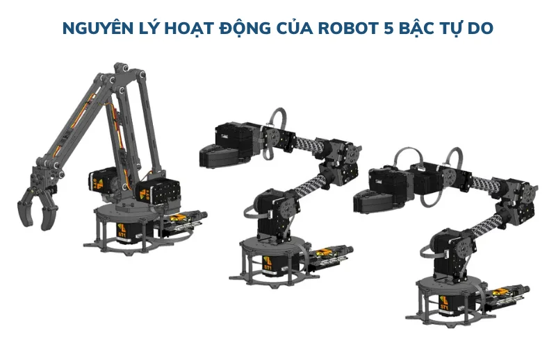 Nguyên lý hoạt động của Robot 5 bậc tự do