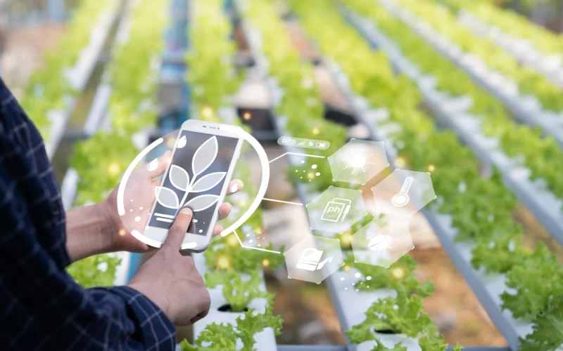 AI trong sản xuất nông nghiệp là gì?