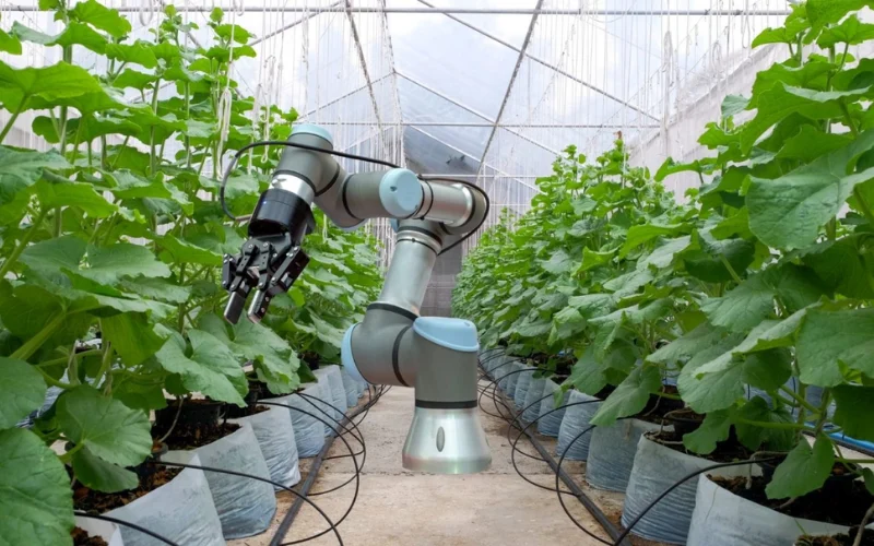 Ứng dụng robot công nghiệp trong nông nghiệp