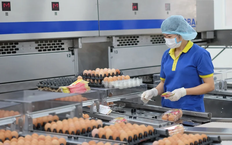 Các thành phần lõi trong một dây chuyền sản xuất thực phẩm hiện đại