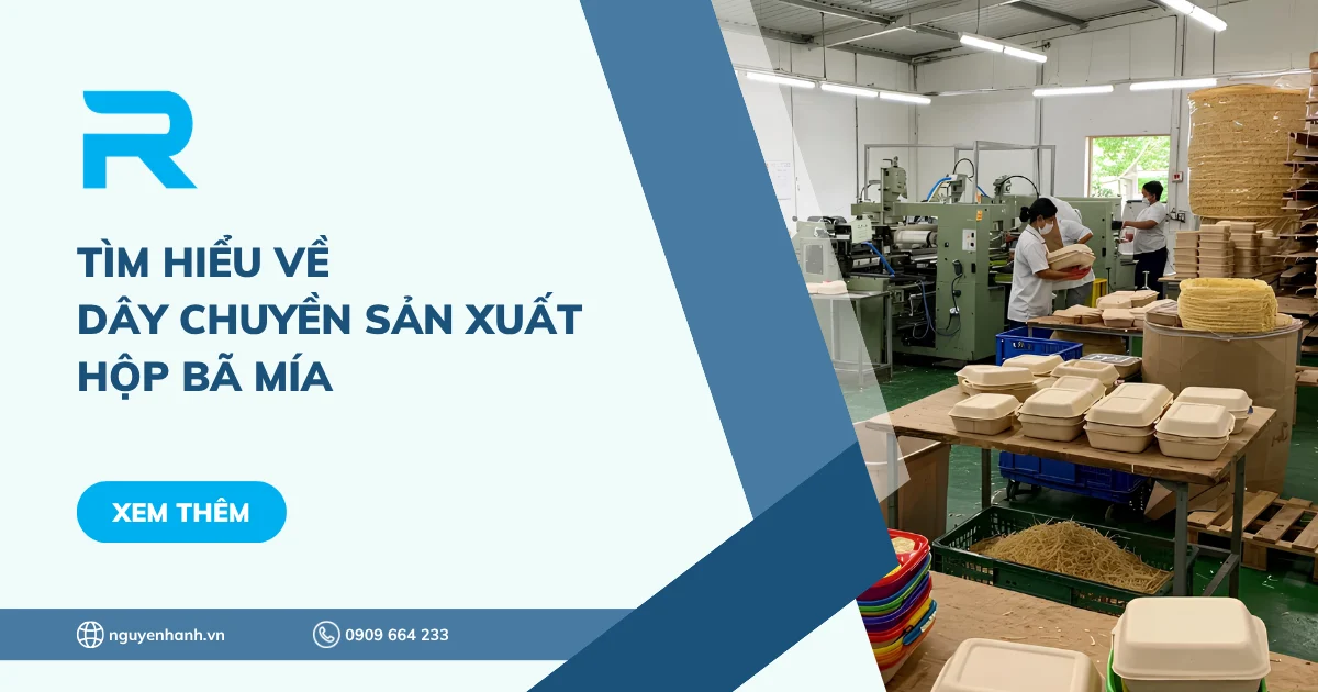 Tìm hiểu về dây chuyền sản xuất hộp bã mía